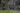 Florida plane crash kills three people | Aviation