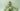 Gemini’s AI images have been updated to Imagen 4 with a ‘huge step forward in quality’ – here’s what you need to know
