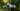 DJI isn’t slowing down: the DJI Mini 5 Pro, DJI Avata 3, and DJI Neo 2 all get mentioned in new leaks
