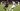 UEFA Champions League final: PSG vs Inter Milan – Start, team news, lineups | Football News