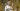 Ronaldo-Al Nassr split possible after star hints at Saudi Pro League exit | Football News
