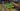 Apple’s rumored iOS 19 gaming app is exciting for Apple fans, but it won’t tempt gamers from Windows