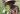 Displaced civilians turn reluctant opium farmers in Myanmar