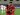 Palestine World Cup dream ends after late penalty heartbreak against Oman | Football News