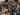 Russia-Ukraine war: List of key events, day 1,222 | Russia-Ukraine war News