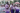 PHOTOS: VeryDarkMan, school pupils stage protest at Wike’s gate over prolonged teachers’ strike