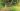 I tried setting up my first lawnbot and the experience nearly broke me – these are the mistakes I made that you need to avoid