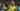 Which teams have qualified for the 2026 FIFA World Cup and who are out? | Football News