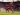 Club World Cup: Bayern Munich vs Boca Juniors – start, team news, lineups | Football News