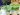 Global matcha ‘obsession’ drinks Japan tea farms dry | Agriculture News