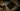 Resident Evil Requiem will feature multiple viewpoints, letting you switch between first and third-person frights