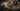 Elden Ring Nightreign has sold more than 3.5 million copies as devs confirm DLC and two player mode