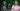 The relationship between humans and AI | Technology