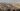 Palestinians in Gaza condemn aid handout killings | Gaza
