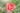 Why AI can’t understand a flower the way humans do