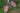 Recycling contaminated soil from Fukushima: Japan’s dilemma