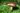 Mushrooms’ microscopic filaments provide a blueprint for better materials
