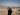 Dozens of Palestinian Bedouin families flee Israeli violence in West Bank | Israel-Palestine conflict News