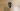 Constantly dismissing notifications your Apple Watch? You’re going to love Apple’s watchOS 26 latest gesture