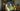 This new iOS 26 FaceTime privacy feature is proving divisive, but here’s why the controversy might be overblown